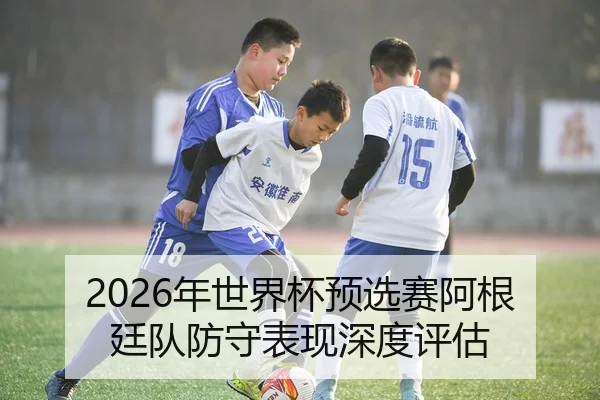 2026年世界杯预选赛阿根廷队防守表现深度评估