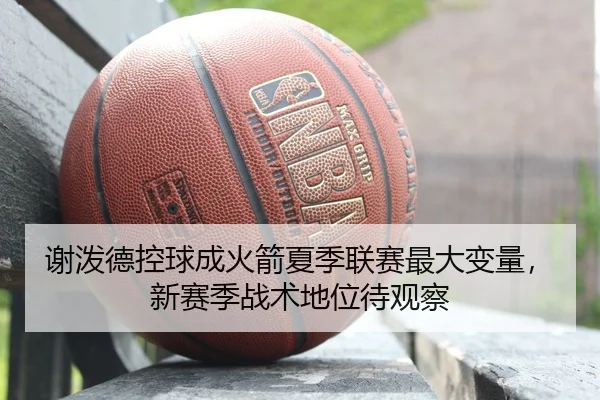 谢泼德控球成火箭夏季联赛最大变量，新赛季战术地位待观察